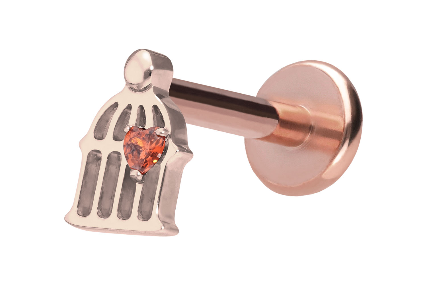 Titan Labret Piercing mit Push Fit KÄFIG